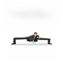 Régua  Eren Jaeger,Mikasa Ackerman,Armin Arlert,Levi Ackerman,Reiner Braun Anime Ataque em titã - 21cm