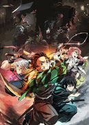 Quadro hashira Anime Demon Slayer