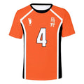 Camiseta haikyuu